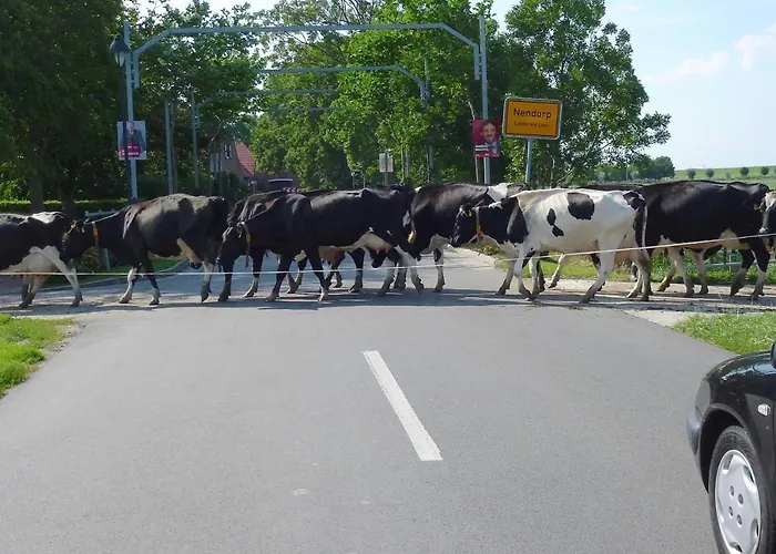 Vlyten_ 45006 Фермерский дом *